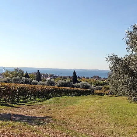 Bellavista *