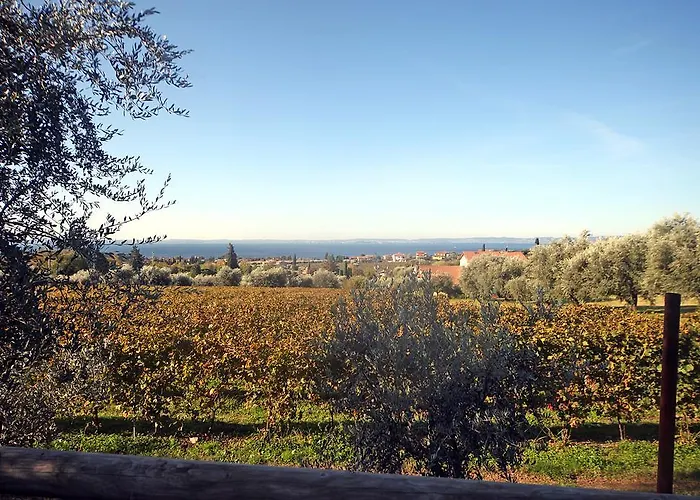 Bellavista * باردولينو