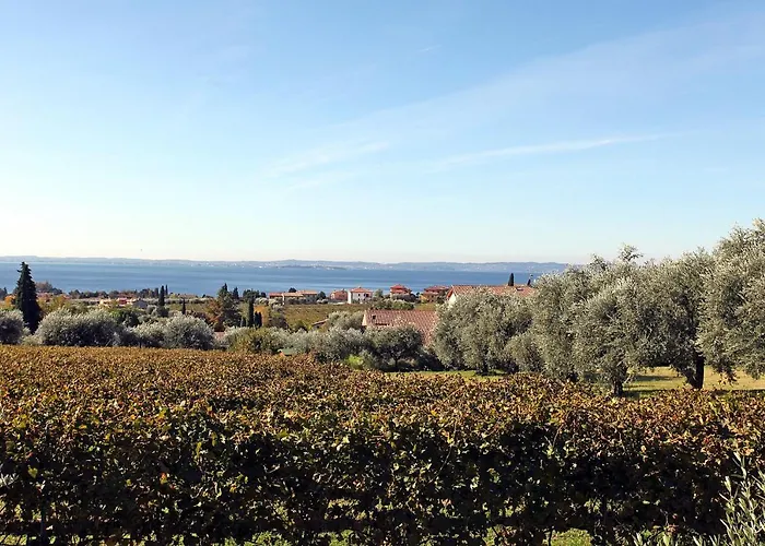 Bellavista * باردولينو