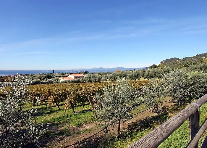 Bellavista باردولينو