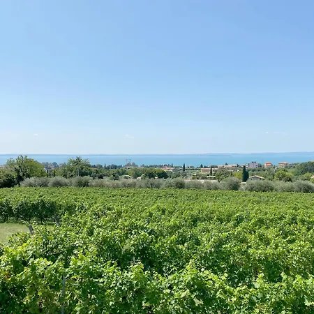 Bellavista *