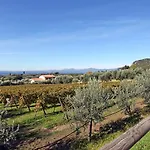 Bellavista 巴多利诺