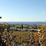 Bellavista 巴多利诺